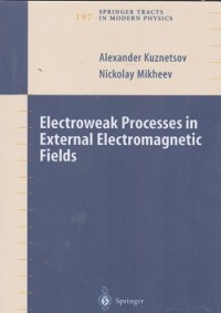Image of Electroweak processes in external electromagetic fields